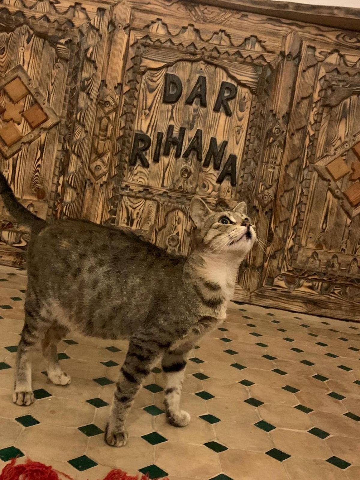 Dar Rihana Dades เอท อิเดียร์ ภายนอก รูปภาพ